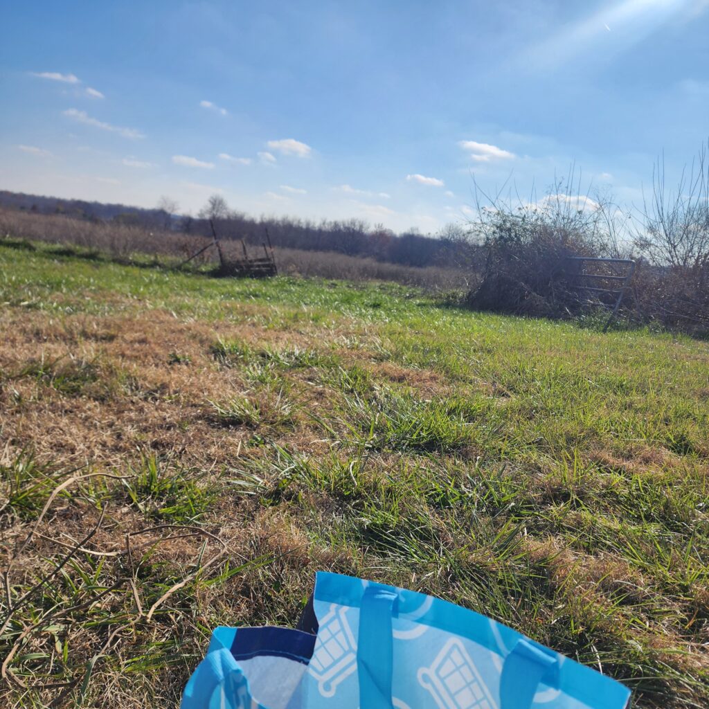 sunny day with pasture views