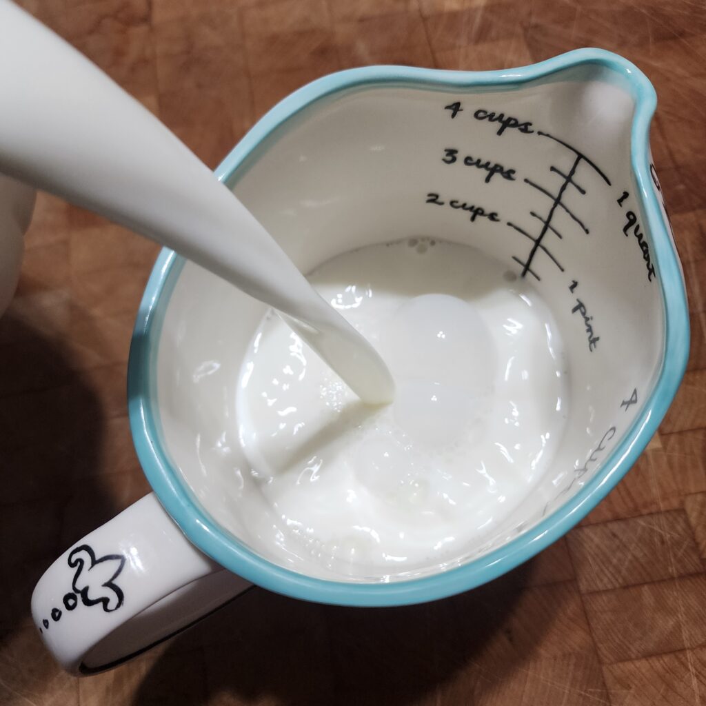 gathering milk to make Instant Pot Yogurt