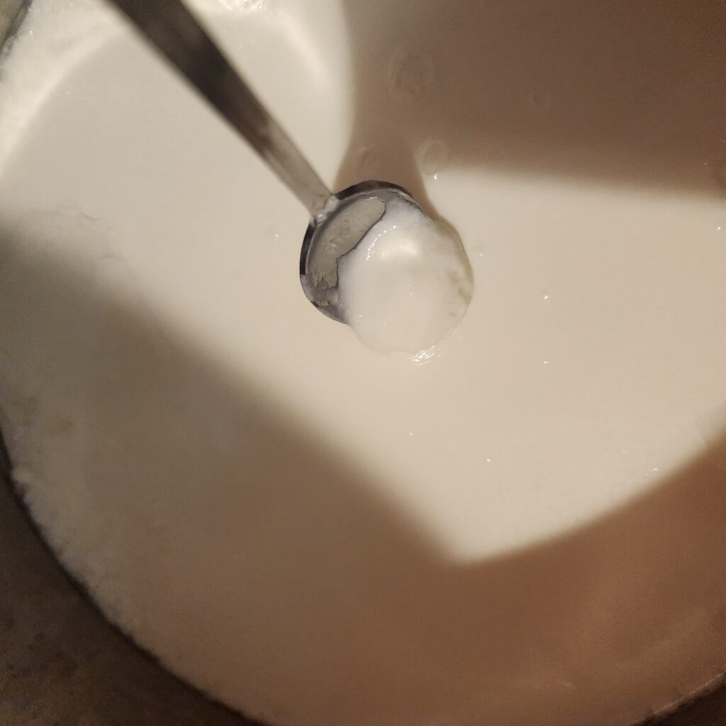 Checking the Instant pot yogurt for consistency