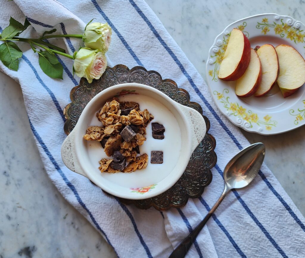 Instant Pot Yogurt in a bowl with homemade granola and dark chocolate chunks