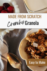 Made from scratch crunchy granola with dark chocolate and fresh berries