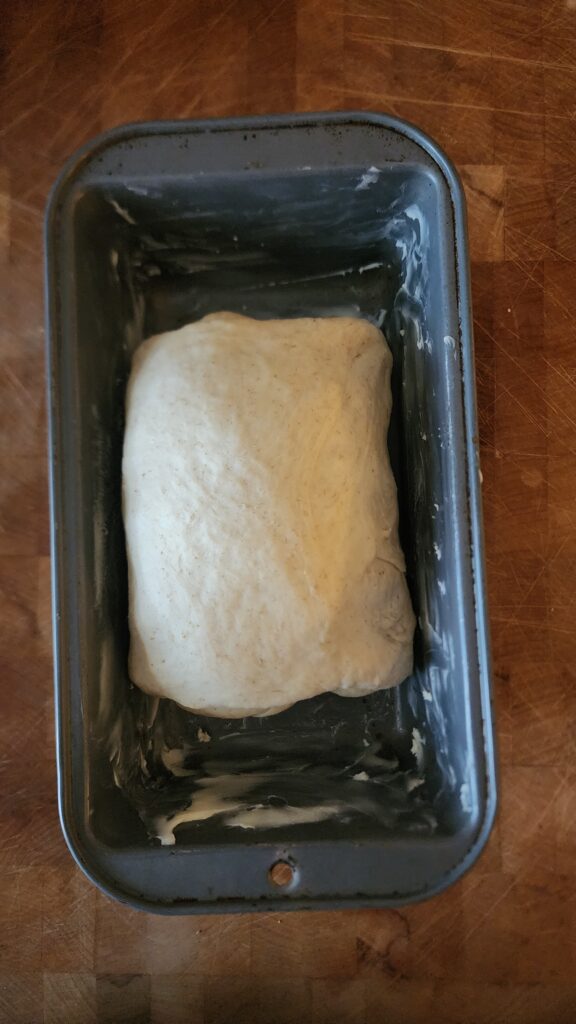 Sourdough Discard Sandwich Bread ready to bake in tin