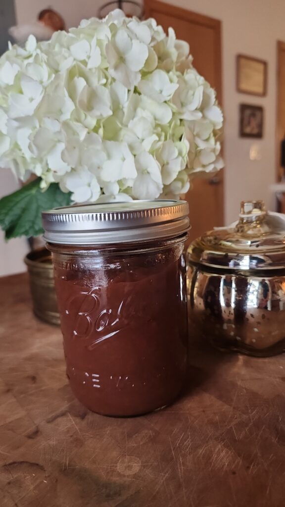 Homemade apple butter sealed in a mason jar