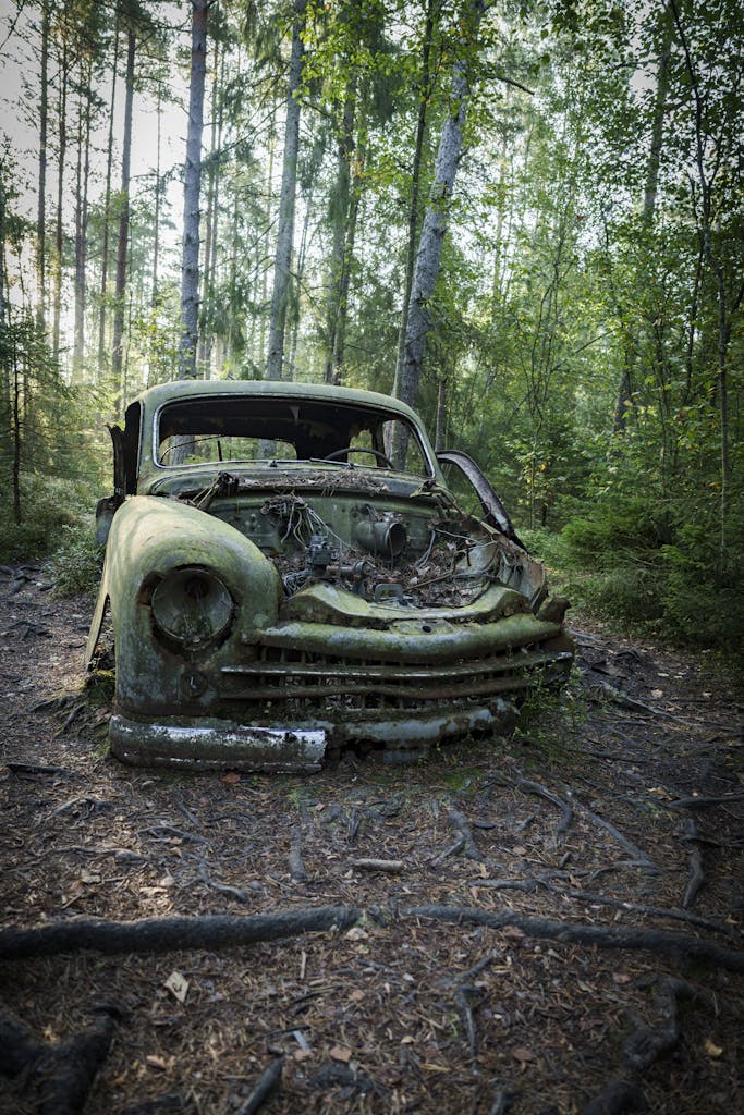 Rusty car wreck surrounded by a dense forest, highlighting nature reclaiming manmade objects.