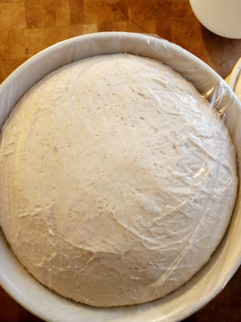 bulk fermented sourdough in bowl