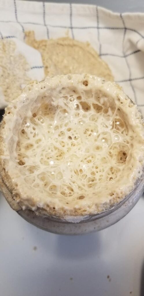 bubbly and active sourdough starter