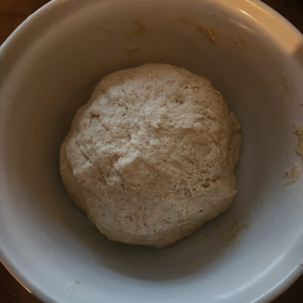 Sourdough Discard Cinnamon Roll Dough in a bowl