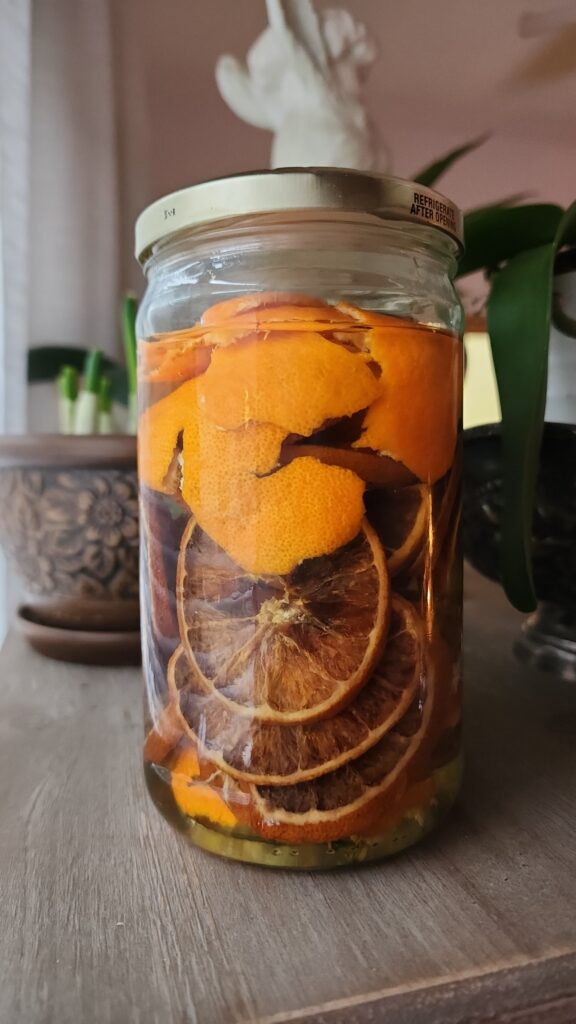 Dried oranges and peels sit in a jar full of white vinegar. 