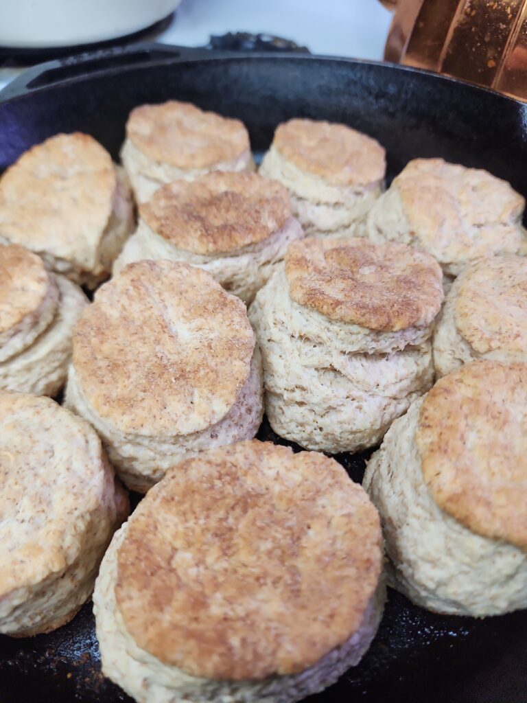 Sourdough Buttermilk Biscuits are fresh out of the oven in a cast iron skillet 