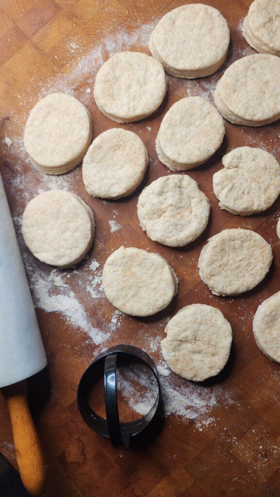 Sourdough Buttermilk Biscuits are being cut with a biscuit cutter to prepare them for baking 