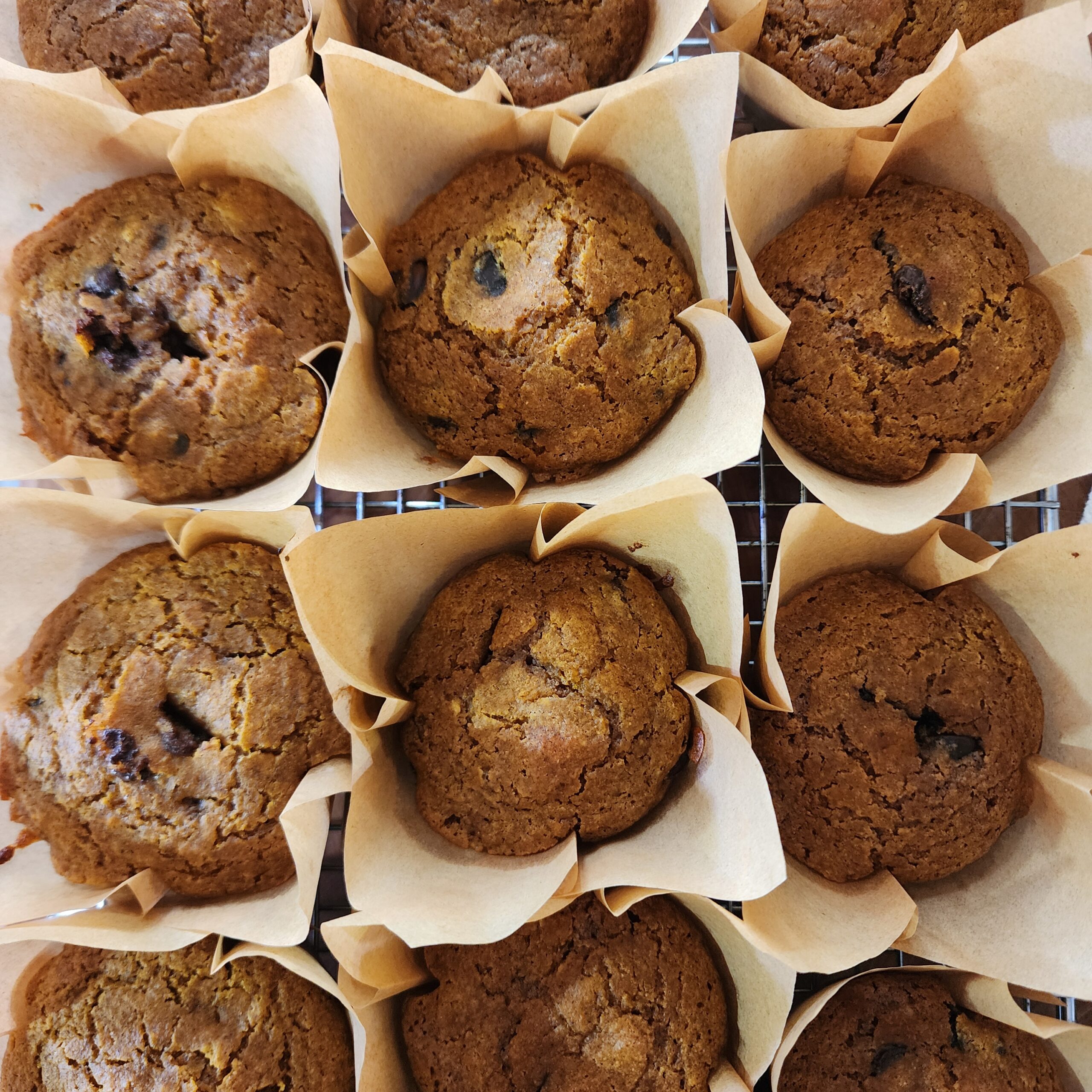 Pumpkin muffins in brown muffin liners on a wire rack