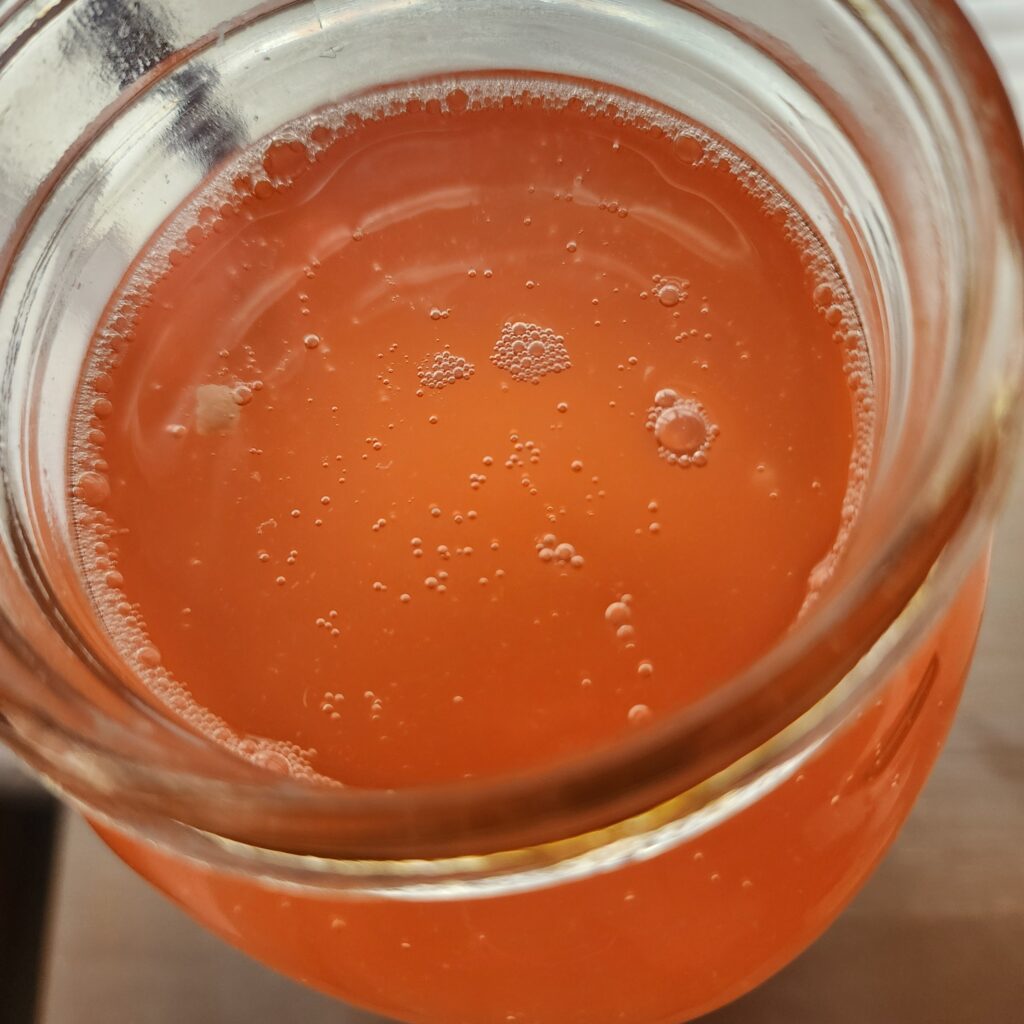 Bubbly water kefir in a glass jar ready to enjoy as a gut healing beverage.