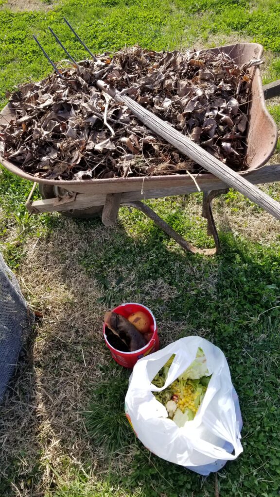 A wheel barrow of yard waste, manure, and vegetable scraps ready to be placed in to the compost bin. 