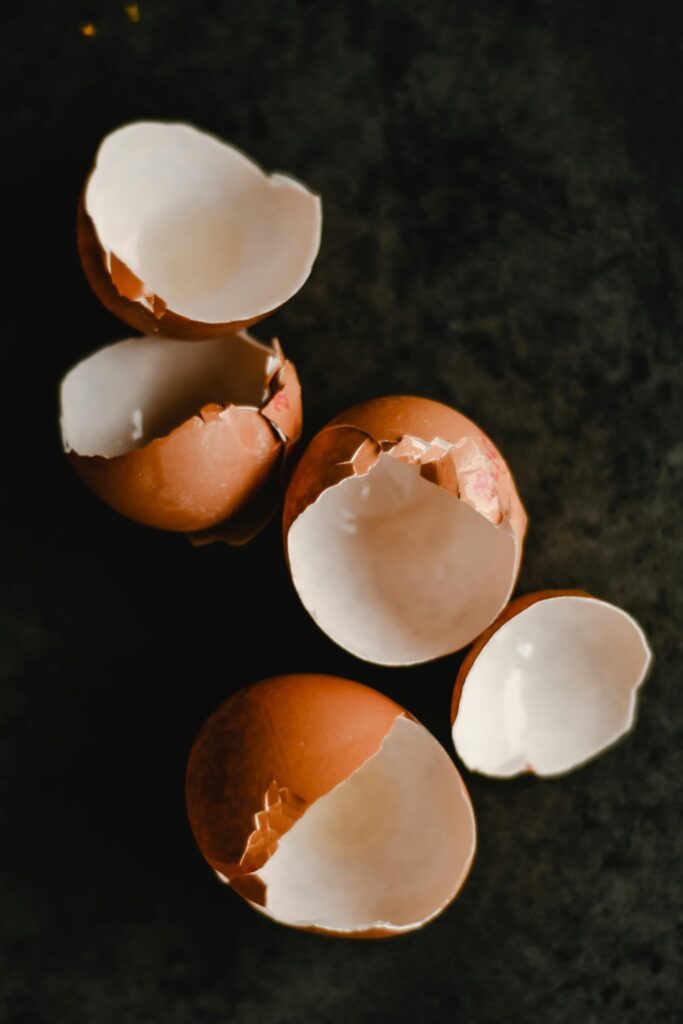 A detailed view of fragile, empty brown eggshells scattered on a dark marble surface.