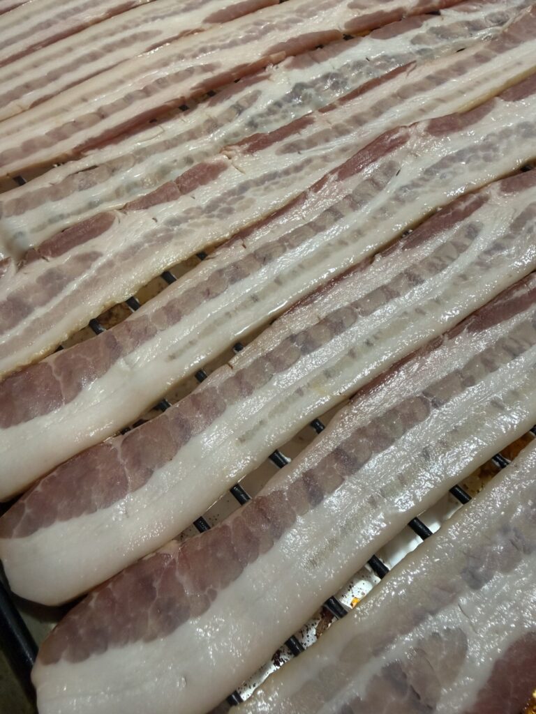 Bacon strips are arranged on a wire rack before baking in the oven.
