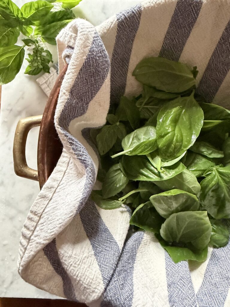 Basil is washed and dried to be prepped to make homemade pesto. 