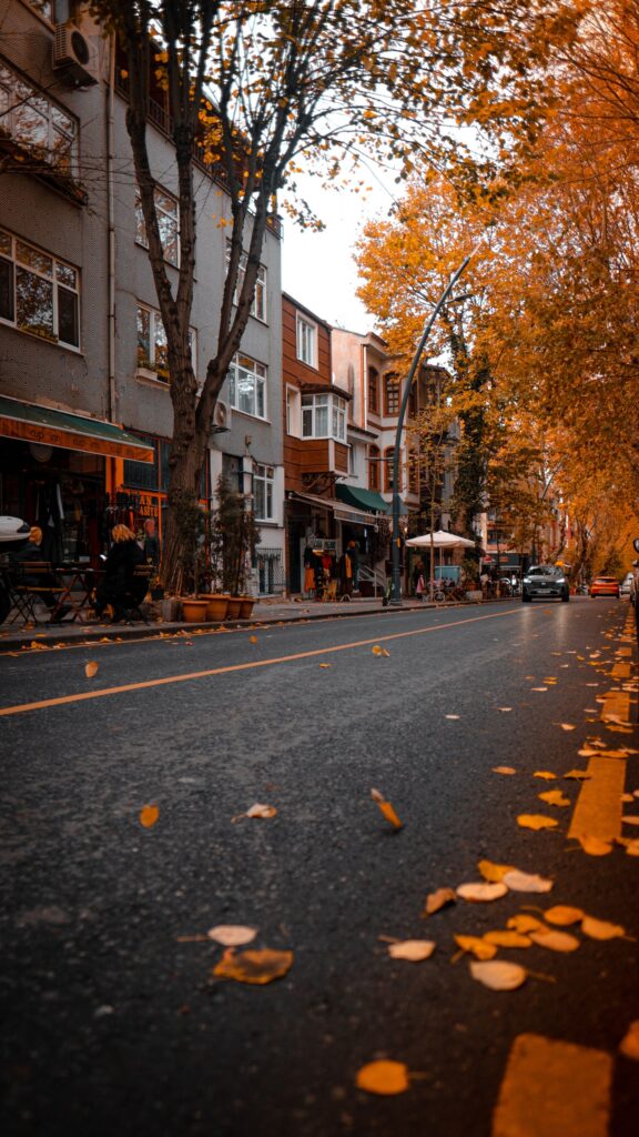 Picturesque autumn street covered in fallen leaves, surrounded by buildings and foliage.