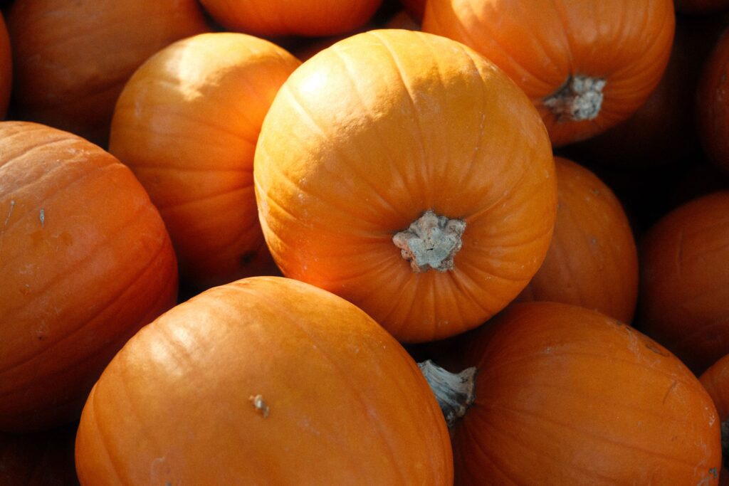 Close-up of a vibrant collection of orange pumpkins, perfect for autumn and harvest themes.
